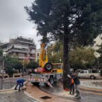 Τοποθετήθηκε το Χριστουγεννιάτικο δένδρο στην πλατεία Δημοκρατίας στο Αγρίνιο (video-εικόνες)