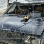 «Θρίλερ» στο λιμάνι της Κέρκυρας: Aνέσυραν αυτοκίνητο με ανθρώπινα οστά