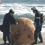 Ιαπωνία: «Θρίλερ» με μυστηριώδη σιδερένια μπάλα που ξεβράστηκε σε παραλία