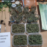 Σύλληψη άνδρα στην Ηλεία για καλλιέργεια και κατοχή ναρκωτικών (φωτο)