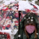 Καιρός Παρασκευής: Τσουχτερό κρύο και ισχυροί άνεμοι – Πού θα χιονίσει