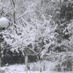 Μαρουσάκης στο CNN Greece: Δεν αποκλείεται να δούμε χιόνια και στην Αθήνα