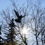 Καιρός: Ηλιοφάνεια σε όλη τη χώρα και την Τετάρτη – Που θα «σκαρφαλώσει» ο υδράργυρος