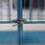 Κακοκαιρία Μπάρμπαρα: Ποια σχολεία θα είναι κλειστά σήμερα