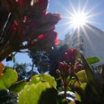 Καιρός: Στα ύψη ο υδράργυρος – Σε ποια περιοχή έφτασε τους 22 βαθμούς Κελσίου