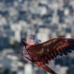 Αντίστροφη μέτρηση για την Καθαρά Δευτέρα – Ποια είναι τα τριήμερα του 2023