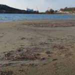 Νάξος: Η άμπωτη «εξαφάνισε» την παραλία Αγίου Γεωργίου