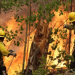 Έρευνα αποκαλύπτει: Ο καπνός από πυρκαγιές αυξάνει τον κίνδυνο πρόωρου τοκετού