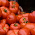 Βρετανία: Είδος προς εξαφάνιση η ντομάτα – Αντιμέτωπη με ελλείψεις η χώρα