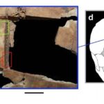 Ενδείξεις χειρουργικής εγκεφάλου πριν 3.500 χρόνια – Βρέθηκε κρανίο με τετραγωνισμένη τρύπα