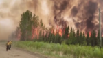 Καναδάς: Εκατομμύρια στρέμματα έγιναν στάχτη από τις «πρωτοφανείς φωτιές»