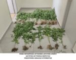 Θεσπρωτία: Συνελήφθησαν δύο άνδρες για καλλιέργεια, κατοχή και διακίνηση ναρκωτικών (φωτο)