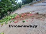 Αλεξανδρούπολη: Έκλεψε φορτηγό με καρπούζια και τα… πέταξε όλα για να «φορτώσει» μετανάστες