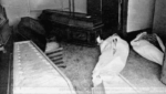 Ο φονικός καύσωνας του 1987 με την εκατόμβη νεκρών