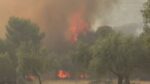 Φωτιά: Ανακοινώθηκαν τα μέτρα στήριξης των πυρόπληκτων