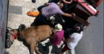 Κέρκυρα: Πρόστιμο 30.000 ευρώ & χειροπέδες στον ιδιοκτήτη του αλόγου που ξεψύχησε στην άσφαλτο