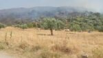 Λακωνία: Ολονύκτια μάχη της Πυροσβεστικής με τις φλόγες στο Πυρί