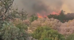 Φωτιά στον Έβρο: Για 11η μέρα μαίνεται ο πύρινος εφιάλτης – Σε τρία μέτωπα η μάχη