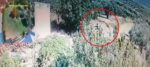 Κρήτη: Βίντεο καταγράφει 70χρονο να προκαλεί πυρκαγιά – Συνελήφθη από την ΕΛ.ΑΣ