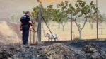 Φωτιά στην Αλεξανδρούπολη: Αστυνομικοί σώζουν σκύλο από φλεγόμενο οικόπεδο