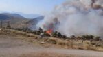 Μεγάλη φωτιά στον Πρόδρομο Βοιωτίας – Εντοπίστηκε νεκρός ένας βοσκός