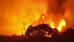 Φωτιά στον Έβρο: Οι φλόγες έφτασαν κοντά στο Σουφλί