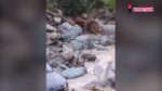 Βόλος: «Φούσκωσε» ο ποταμός Άναυρος και παρέσυρε τα πάντα στο πέρασμά του