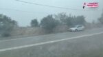 Αργολίδα: Ποτάμια οι δρόμοι, ξεριζώθηκαν δέντρα – Ζημιές στην Αρκαδία