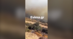 Φωτιά στην Κάρυστο: Μεγάλη ανησυχία για τους ισχυρούς ανέμους
