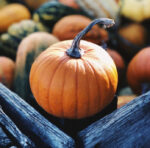 Τα 3 καλύτερα λαχανικά για την υγεία του εντέρου