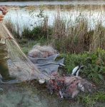 Οργανωμένη κινητοποίηση του Λιμενικού στην θαλάσσια περιοχή Αμβρακικού Κόλπου (εικόνες)