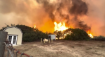 ΗΠΑ: Πύρινη κόλαση κατακαίει τα πάντα στην Καλιφόρνια