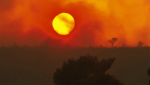 Καιρός: Τι είναι το φαινόμενο «hot dry windy» – Επικίνδυνο κοκτέιλ για δασικές πυρκαγιές