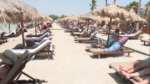Αττική: Ακριβή η βουτιά στις οργανωμένες παραλίες – Σε τι τιμές κυμαίνονται οι ξαπλώστρες