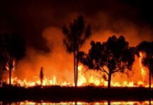 Σε ποιες περιοχές ο κίνδυνος για πυρκαγιά είναι πολύ υψηλός