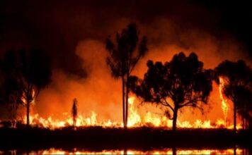 Σε ποιες περιοχές ο κίνδυνος για πυρκαγιά είναι πολύ υψηλός