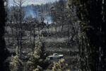 Πολιτική κόντρα με φόντο τις καμένες εκτάσεις στην Αττική