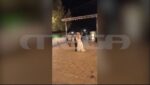 Πύργος: Ο εισαγγελέας διέταξε έρευνα για το χαστούκι στον γάμο