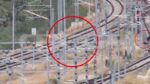 Επιτήδειοι προσπαθούν να αρπάξουν το χαλκό από γραμμές τρένου – Βίντεο ντοκουμέντο
