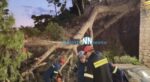 Ναύπακτος: Δέντρο παραλίγο να καταπλακώσει 5μελή οικογένεια