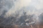 Φωτιά στην Αττική: Άνοιξε η πλατφόρμα πρώτης αρωγής για τους πυρόπληκτους