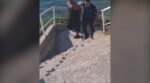 Σαλαμίνα: Το προφίλ του δράστη που επιχείρησε να βιάσει 20χρονη – Αύριο στον εισαγγελέα