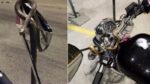 Ηγουμενίτσα: Οδηγός μηχανής βρήκε για συνοδηγό ένα… φίδι