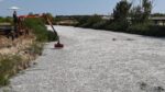 Βόλος: Διεθνείς διαστάσεις έλαβε το θέμα των νεκρών ψαριών