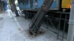Ομόνοια: Μυστήριο με την πτώση δέντρου πάνω σε φορτηγό – Τι απαντά ο Δήμος Αθηναίων