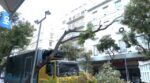 Ομόνοια: Δέντρο έπεσε σε φορτηγό – Στο σημείο συνεργείο του δήμου