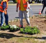 Δήμος Αγρινίου: Απομάκρυνση αυθαίρετων κατασκευών και φυτών από κοινόχρηστους χώρους