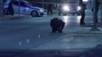 Άνω Λιόσια: Ενέδρα θανάτου σε 42χρονο που γλίτωσε λόγω θωρακισμένου αυτοκίνητου