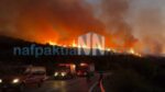 Μεγάλη πυρκαγιά στην Ναύπακτο: Επιχειρούν τα εναέρια μέσα – Εκκενώθηκε οικισμός