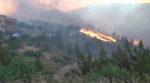 Χίος: Πύρινος εφιάλτης με τη φωτιά να καίει δίπλα σε σπίτια- Προβλήματα στην ηλεκτροδότηση